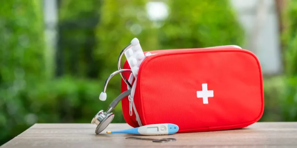 What Are the Best Outdoor Pet First Aid Kits to Have on Hand?